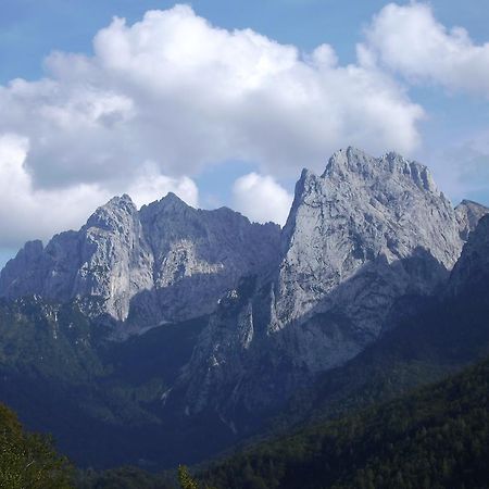 Appartement Lisa Schweiger Kirchberg in Tirol Exteriér fotografie