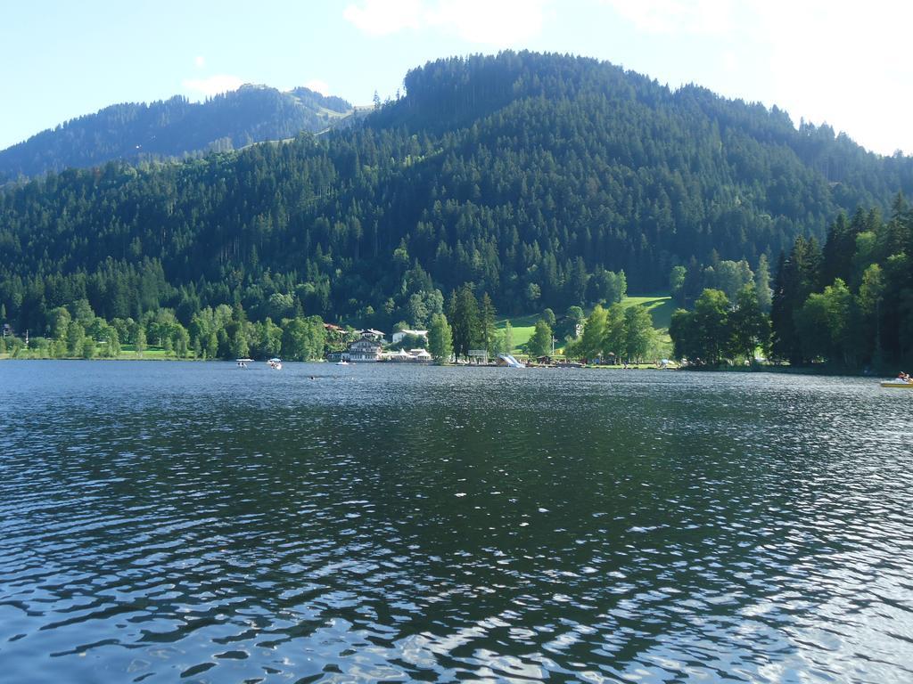 Appartement Lisa Schweiger Kirchberg in Tirol Exteriér fotografie