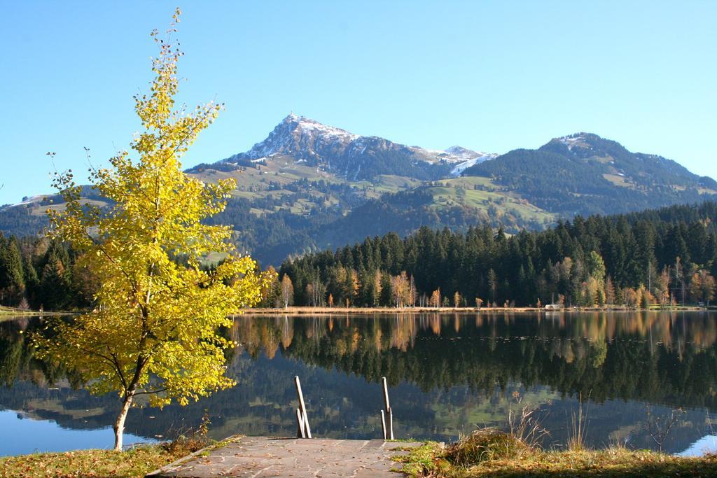 Appartement Lisa Schweiger Kirchberg in Tirol Exteriér fotografie